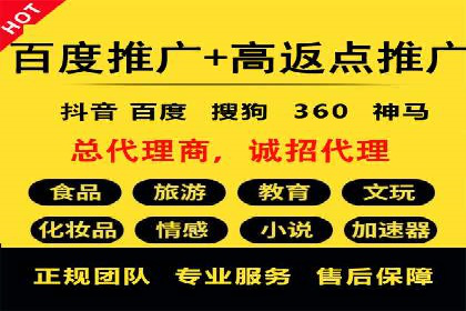 SEM搜索引擎优化成功案例，揭示优化策略与技巧